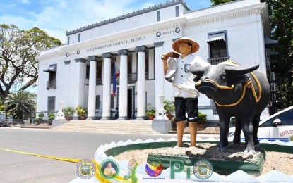 6 senators to join Negros Oriental’s jubilee celebration