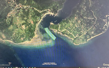 <p><strong>BIODIVERSITY CONSERVATION.</strong> A Google satellite image of the Tambobo Bay. The Marine Conservation Philippines, an NGO advocating for the protection and preservation of coastal resources, has volunteered to conduct an underwater survey at Tambobo Bay in Siaton, Negros Oriental, and transplant coral reefs that would be affected by the dredging project. (<em>Screenshot of Google map)</em></p>