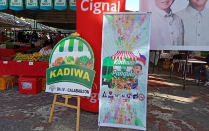 <p><strong>KADIWA IN BATANGAS.</strong> The Office of the Provincial Agriculturist maximizes the potential of local products by actively participating in the national government’s Kadiwa ng Pangulo on Thursday (May 23). Provincial Agriculturist Dr. Rodrigo Bautista Jr. said Friday (May 24) that his office has also initiated the Batangas Coconut Seed Farm Project to increase production.<em> (PNA photo by Pot Chavez)</em></p>