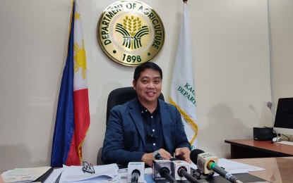 <p><strong>STABLE FOOD SUPPLY.</strong> Agriculture Assistant Secretary Arnel de Mesa assures of stable food supply despite the onslaught of typhoon Aghon during an interview on Tuesday (May 28, 2024). He said the validated agriculture damage remains minimal. <em>(PNA photo of Stephanie Sevillano)</em></p>