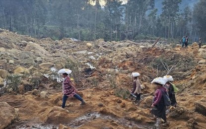 <p><strong>SEARCH AND RESCUE</strong>. Rescue workers on Wednesday (May 29, 2024) continue the search for about 2,000 missing people in the landslide-hit Enga province in Papua New Guinea. The landslides happened at the residential areas around 3 a.m. on May 24, 2024. <em>(Anadolu)</em></p>