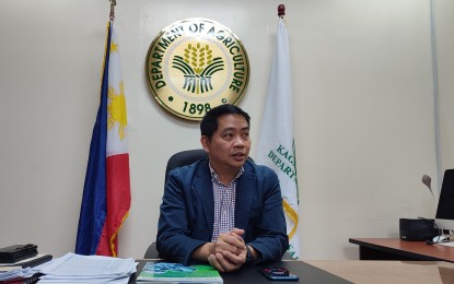 <p><strong>TARIFF CUT.</strong> Department of Agriculture (DA) Assistant Secretary Arnel De Mesa says the department will study the proposed cut on the tariff of imported rice, during an interview on Wednesday (May 29, 2024). He said the DA would conduct consultations to study both the advantages and disadvantages of the proposal. <em>(PNA photo by Stephanie Sevillano)</em></p>