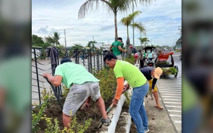 <p><strong>TREE GROWING. </strong>Personnel of the city government prepare for the tree-growing activities along Diversion Road as the rainy season starts. Mayor Jerry Treñas on Thursday (May 30, 2024) said the city government needs more native trees, and donations are welcome. <em>(Photo courtesy of Neil Ravena FB page)</em></p>