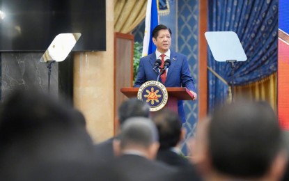 <p><strong>BRUNEI VISIT.</strong> President Ferdinand R. Marcos Jr. speaks at the Philippine Business Forum before business leaders of Brunei Darussalam on Wednesday (May 29, 2024). The President capped his two-day Brunei state visit on Wednesday afternoon. <em>(Presidential Communications Office photo)</em></p>