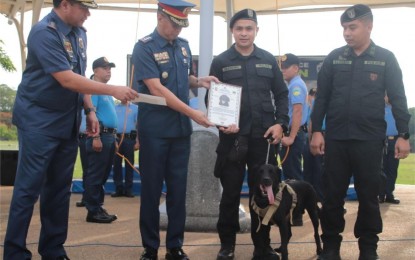 <p><strong>FURRY HERO.</strong> Explosives detection dog Jack officially retires from law enforcement duties on Friday (May 31, 2024). The Police Regional Office-Calabarzon gave him a send-off at Camp Vicente Lim in Laguna, worthy of a dedicated police officer who served the country well. <em>(Photo courtesy of PRO-4A PIO)</em></p>