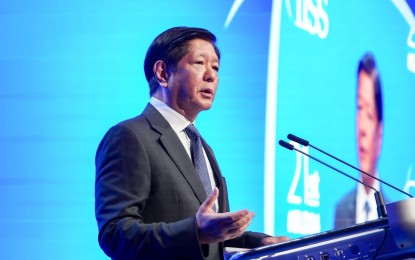 Marcos calls for sovereign equality of states