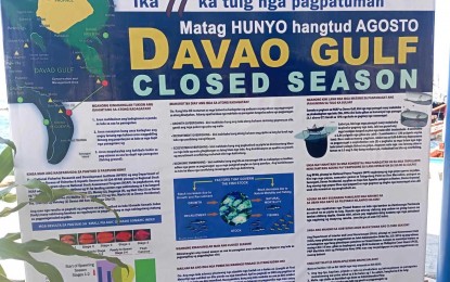 Davao Gulf's June-August closed season aims to protect pelagic fish