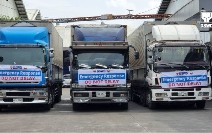 <p><strong>HELP COMING</strong>. The Department of Social Welfare and Development said Tuesday (June 4, 2024) it is more than ready to assist families affected by restive Mt. Kanlaon in Negros Island. About 50,000 family food packs are projected to reach affected areas by Wednesday (June 5). <em>(DSWD photo)</em></p>