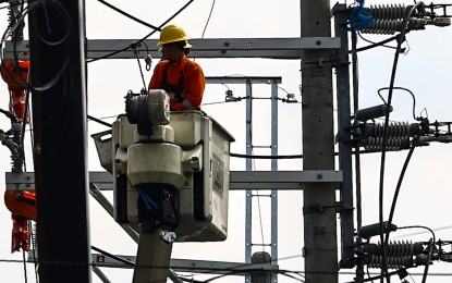 <p><strong>ENERGY NEEDS.</strong> An engineer of Manila Electric Company (Meralco) on a boom lift inspects electric posts along New York Street in Cubao, Quezon City in this May 30, 2024 photo. The bill renewing the Meralco's franchise for another 25 years has hurdled committee level at the House of Representatives. <em>(PNA photo by Joan Bondoc)</em></p>
<p><em> </em></p>