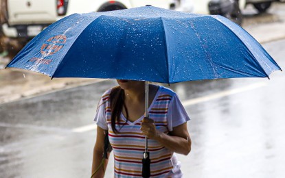 <p><strong>READY.</strong> A sturdy umbrella shields a female pedestrian from the afternoon downpour in Kamuning, Quezon City on May 29, 2024. Most areas in the country will experience rain showers Thursday (June 6, 2024) due to the southwest monsoon or habagat affecting the western sections of Luzon and the Visayas, the weather bureau said.<em> (PNA photo by Robert Oswald P. Alfiler)</em></p>