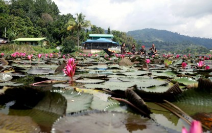 <p><strong>LAKE SEBU.</strong> Visitors ride the owong, a wooden boat that the T’boli people use for fishing and transport at Lake Sebu, in this undated photo. The Philippines’ estimated visitor receipts have reached more than PHP280 billion in the first half of 2024, the Department of Tourism reported Thursday (July 11, 2024).<em> (PNA photo by Yancy Lim)</em></p>