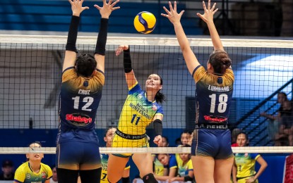 <p><strong>POINT.</strong> Shekaina Lleses of Kings' Montessori School (No. 11) scores against Ysabella Cruz (No. 12) and Sarah Lumbang of National University-Nazareth School during the battle for third place in the 2024 Shakey’s Girls Volleyball Invitational League at Adamson University Gym main court on Sunday (June 9, 2024). Kings' Montessori won, 25-18, 24-26, 25-23, 25-22. <em>(SGVIL photo)</em></p>