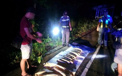 Ilocos cops seize P1.7-M shabu, marijuana