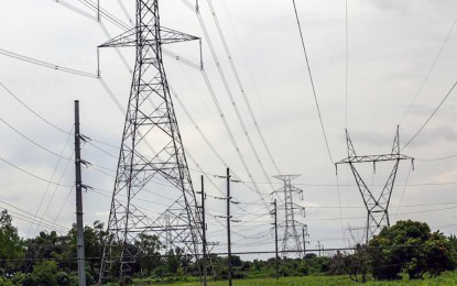 DOE: Transmission lines up by 10% in Marcos admin