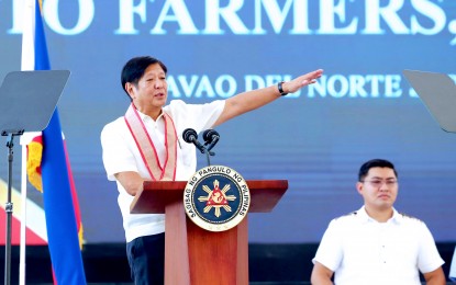 <p><strong>NOMAD VISA.</strong> President Ferdinand R. Marcos Jr. during his visit to Tagum City, Davao del Norte on June 6, 2024. Marcos has backed the proposal to issue an executive order that would introduce “nomad visas” and attract long-stay foreign visitors to the country. <em>(PNA photo by Robinson Niñal Jr.)</em></p>