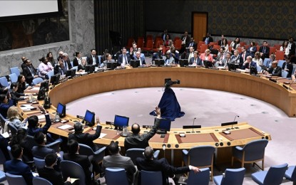 UNSC adopts US resolution calling for immediate ceasefire in Gaza
