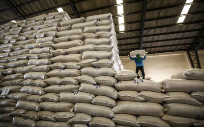<p><strong>TARIFF CUT</strong>. A worker at the National Food Authority warehouse in San Ildefonso, Bulacan carries a sack of palay (unhusked rice) in this June 7, 2024 photo. Camarines Sur Rep. Luis Raymund Villafuerte Jr. on Tuesday (June 25) said the approved tariff cut on imported rice would set in motion President Ferdinand Marcos Jr.'s goal to bring down the retail cost of the staple to below PHP30 per kilo.<em> (PNA photo by Joan Bondoc)</em></p>