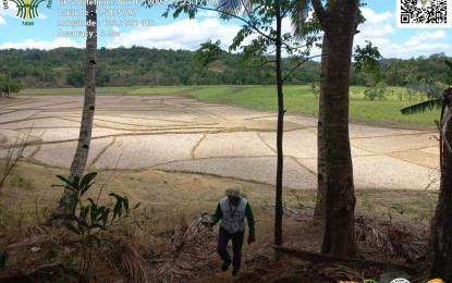 NegOr begins rice distribution to El Niño-affected farmers