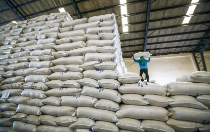 Over 50 LGUs Interested in Buying NFA Rice Amid Food Security Emergency