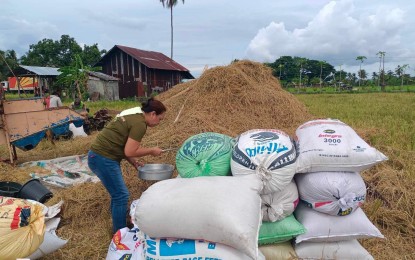 <p><strong>PALAY PROCUREMENT.</strong> The National Food Authority in Negros Oriental has started its palay procurement program to bolster its buffer stock. The first procurement was made on June 17, 2024, comprising 37 bags at 40 kilos each bag, from a single source in Tanjay City. <em>(Photo courtesy of NFA-Negros Oriental)</em></p>