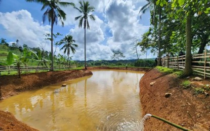 <p><strong>LAWA PROJECT</strong>. An undated photo shows a small farm reservoir to impound sufficient water for vegetable garden and rice production built by partner-beneficiaries of the Department of Social and Welfare and Development’s Project LAWA at BINHI in Calatrava, Negros Occidental. The DSWD on Wednesday (Aug. 28, 2024) said its Eastern Visayas Field Office reported the completion of over 480 LAWA and BINHI projects. <em>(Contributed photo)</em></p>