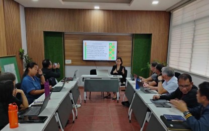 Negros Occidental works with DOE to finalize energy roadmap framework