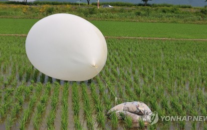 <p><strong>TRASH BALLOON.</strong> This file photo, taken June 10, 2024, shows a balloon carrying trash sent by North Korea in a rice paddy in Incheon, just west of Seoul. On Monday, North Korea sent some 350 trash balloons to Seoul and Gyeonggi province. <em>(Yonhap)</em></p>