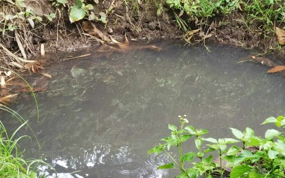 <p><strong>STAGNANT WATER.</strong> Health authorities in Negros Oriental are calling on the public to eliminate mosquito breeding sites such as this mud puddle, as dengue cases are on the rise. The provincial health office reported on Wednesday (June 26, 2024) that Negros Oriental logged 1,251 dengue cases with four deaths since January 1. <em>(PNA photo by Mary Judaline Flores Partlow)</em></p>