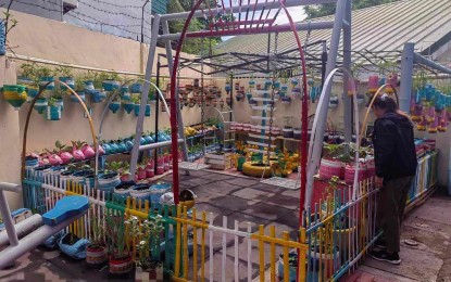 <p><strong>URBAN GARDENING</strong>. An "urban garden" in Iloilo City is shown in this undated photo. Mayor Jerry Treñas signed Executive Order 89 on June 24, 2024, promoting cleanup and gardening every Saturday. <em>(Photo courtesy of Liezl Casas FB page)</em></p>