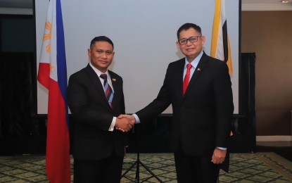 PH reaffirms strong defense ties with Brunei