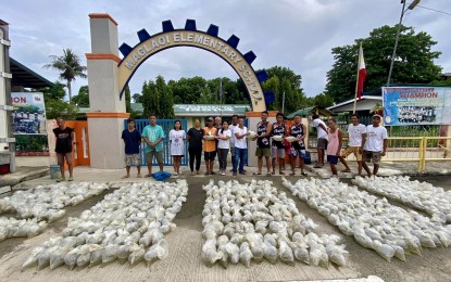 <p><strong>FINGERLINGS DISTRIBUTION</strong>. Fish cage operators in Currimao, Ilocos Norte receive bangus fry on Thursday (June 27, 2024). The aid is funded by the Bureau of Fishing and Aquatic Resources-Regional Field Office 1 under its rehabilitation and recovery program. <em>(Photo courtesy of Agriculture Currimao)</em></p>