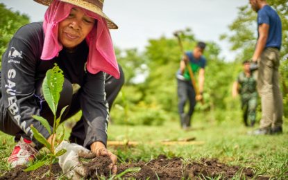 Foundation receives pledges to plant 2.7M trees in 2025