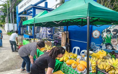 Camarines Sur farmers earn P449K from DAR agri-fair project