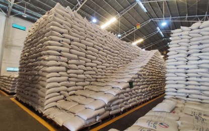 <p><strong>BUFFER STOCK</strong>. National Food Authority - Ilocos Norte’s buffer stock of rice in its warehouse in Laoag in this undated photo. NFA-Ilocos Norte manager Jonathan Corpuz said Tuesday (July 2, 2024) that the agency has about 50,000 sacks of palay (unhusked rice) and 989 sacks of rice in its designated warehouses in the province, enough to last until the next harvest season.<em> (NFA file photo)</em></p>