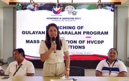 <p><strong>GOVERNMENT AID</strong>. Department of Agriculture-Bicol (DA-5) officer-in-charge Regional Technical Director for Operations Mary Grace Rodriguez (center) gives a speech at the distribution of government interventions to various farmers' cooperatives and associations (FCAs) in Camarines Sur on July 8, 2024. She said a total of PHP17.3 million worth of agricultural interventions were distributed to 19 FCAs from Camarines Sur this week. <em>(Photo courtesy of DA-Bicol)</em></p>