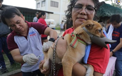 <p><strong>ANTI-RABIES VAX</strong>. A pet owner in Pangasinan has her pet vaccinated by personnel of the Provincial Veterinary Office in this undated photo. The provincial government is strengthening its anti-rabies campaign due to increase in cases from January to June this year. <em>(Photo courtesy of the province of Pangasinan)</em></p>