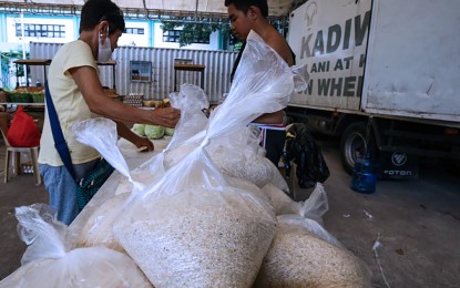 <p><strong>P29 PROGRAM</strong>. PHP29 per kilogram of aging but good quality rice stocks are available at the Kadiwa site of the Bureau of Animal Industry in Diliman, Quezon City on July 13, 2024. The Department of Agriculture on Thursday (July 18) said it is eyeing to conduct an all year-round P29 program large-scale trial in the country to assess its sustainability. <em>(PNA file photo by Joan Bondoc)</em></p>