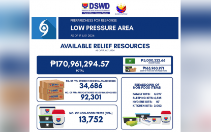 <p><em>(Infographic courtesy of DSWD-13)</em></p>
<p> </p>