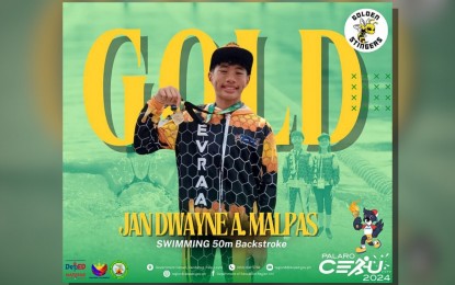 <p><strong>WINNER</strong>. Jan Dwayne Malpas, a 12-year-old athlete from Tacloban City, has achieved a significant milestone, garnering four gold medals in swimming during the recent 2024 Palarong Pambansa. The Department of Education (DepEd) regional office has lauded Eastern Visayas athletes for rising to the 7th rank in the recent Palarong Pambansa, surpassing previous records. <em>(Photo courtesy of DepEd Eastern Visayas)</em></p>