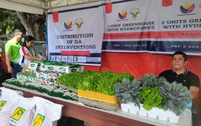 <p><strong>INTERVENTIONS.</strong> Dumaguete City Agriculturist Dwight Oliver Arnaiz mans the booth during the visit of President Ferdinand Marcos Jr. to Negros Oriental on June 27, 2024. Thousands of farmers and other agricultural sector workers in the province have benefitted from various financial assistance and government interventions under the Bagong Pilipinas concept. <em>(PNA photo by Mary Judaline F. Partlow)</em></p>