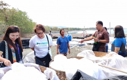 <p><strong>SALT PRODUCTION</strong>. The salt production in the municipality of Belison. Department of Trade and Industry(DTI) Antique Provincial Director Mutya Eusores said in an interview Thursday (July 18, 2024) that they target to complete the delivery of shared service facilities for the four local government unit recipients by the third quarter of 2024. <em>(Photo courtesy of DTI Antique)</em></p>