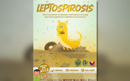 <p><strong>HEALTH WARNING</strong>. The Department of Health 5 (Bicol) on Thursday (July 18, 2024) cautioned the public against leptospirosis this rainy season. The disease can be acquired from food, water, and soil contaminated with the infected urine or feces of animals. <em>(Infographic courtesy of DOH-5)</em></p>