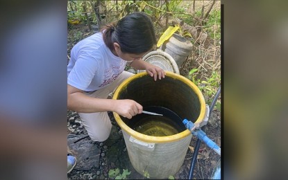 <p><strong>STOP DENGUE.</strong> The Iloilo Provincial Health Office (IPHO) collects mosquito larvae and identify new breeding sites in Barangay Odiongan in Badiangan, Iloilo on June 13, 2024. The IPHO is calling on the support of communities and the activation of the Aksyon Barangay Kontra Dengue (ABKD) to stop the increasing number of cases in the province. <em>(Photo courtesy of IPHO)</em> </p>