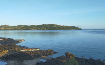 <p><strong>RED TIDE-HIT</strong>. The seawater in the island town of Zumarraga, Samar. Red tide presence expanded in Samar Island this week, the Bureau of Fisheries and Aquatic Resources said on Monday (July 22, 2024).<em> (Photo courtesy of Zhonne Cabueños)</em></p>