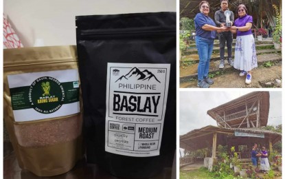 <p><strong>LOCAL BREW</strong>. The Baslay Highland Agriculture Cooperative in Barangay Baslay, Dauin, Negros Oriental, has benefitted from the local government declaration of coffee as its One Town, One Product. The cooperative was formed more than two decades ago to transform slash-and-burn farmers into environmental stewards and entrepreneurs<em>. (PNA photo by Mary Judaline F. Partlow)</em></p>