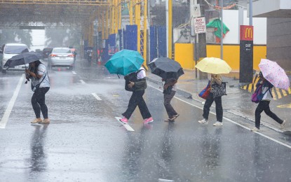 <p><strong>WORK CANCELED</strong>. People rush to cross the road while shielding themselves from the rain with their umbrellas along Panay Avenue in Quezon City on a rainy Tuesday (July 23, 2024). Malacañang suspended government work and classes at all levels in Metro Manila effective 2 p.m. Tuesday due to Typhoon Carina and 'habagat'. <em>(PNA photo by Robert Oswald P. Alfiler)</em></p>