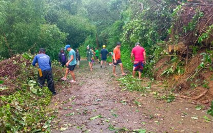 <p><strong>CLEARING OPERATIONS</strong>. Residents of Barangay Abut in San Fernando City, La Union clear the debris from fallen trees along the road on Wednesday (July 24, 2024). A total of 58 families in La Union were evacuated as of <span dir="ltr">5 a.m.</span> due to flooding amid the onslaught of Typhoon Carina. <em>(Photo courtesy of San Fernando City La Union)</em></p>