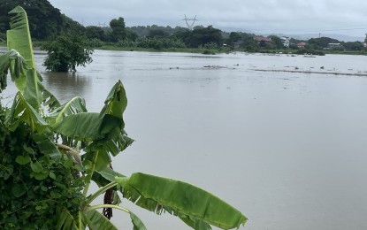 <p><strong>FLOODED</strong>. Rice fields are submerged in floodwaters in Barangay Pila, Laoag City, Ilocos Norte on July 24, 2024. The Department of Agriculture has ordered the round-the-clock operations of its regional Disaster Risk Reduction and Management offices to properly monitor and validate the effects of the enhanced southwest monsoon and super typhoon on the agriculture sector. <em>(PNA photo by Leilanie Adriano)</em></p>