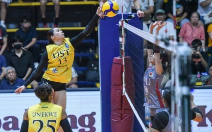 <p><strong>ROUSING START.</strong> University of Santo Tomas’ Jonna Perdido (No. 13) tries to score during against Lyceum of the Philippines University in the 2024 V-League Collegiate Challenge at Paco Arena in Manila on Sunday (July 28, 2024). The Golden Tigresses won, 25-22, 23-25, 25-20, 25-17. <em>(Photo courtesy of PVL)</em></p>