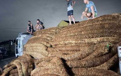 <p><strong>CONTAINMENT.</strong> Members of the PCG Auxiliary make improvised oil spill booms on Monday (July 29, 2024). The booms will help contain the oil spill from the sunken M/T Terra Nova off the coast of Limay, Bataan. <em>(Photo courtesy of PCG)</em></p>